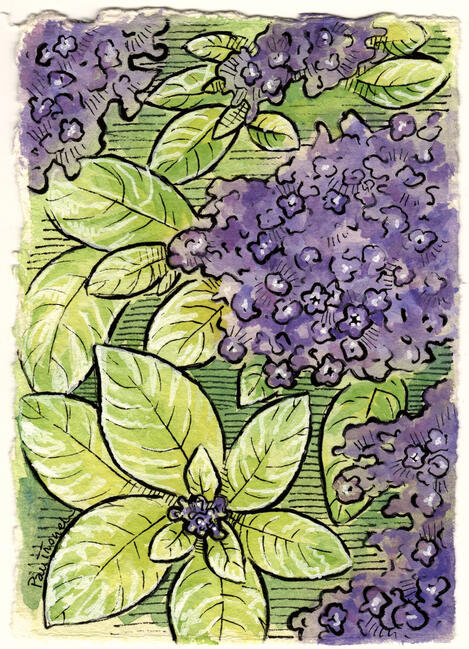 Fine Liners and Gouache Painting - Ginkgo