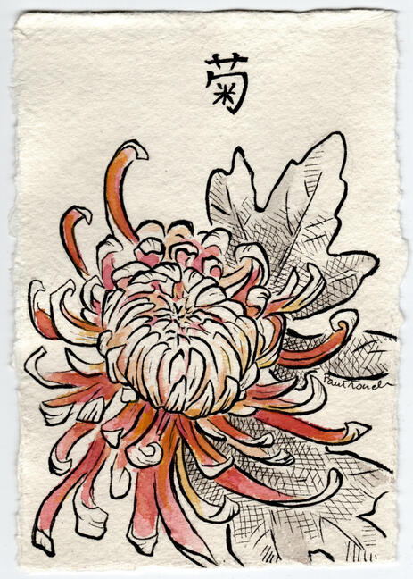 Ink Pens and Gouache Illustration - Chrysanthemum